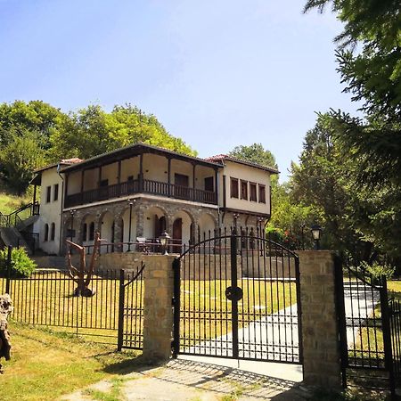 Zenios Dionysos - Traditional Villa Grevena Esterno foto